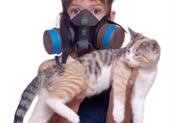 Болячки с запахом у кошки