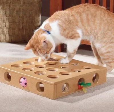 Почему котята много играют