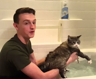 Подготовка к мытью кота