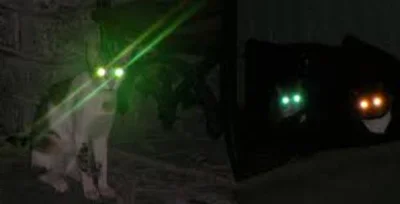 Почему у кошек светятся глаза