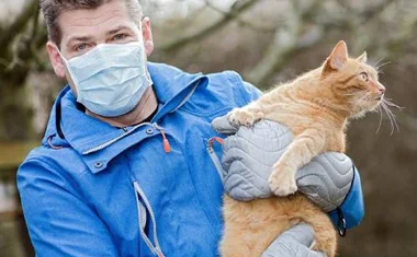 Корм для кошек при аллергии у человека