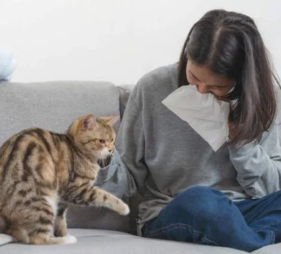 Как понять что у человека аллергия на кошку