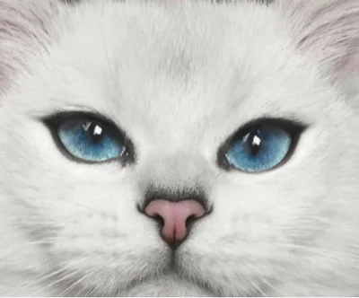 Породы кошек, которым свойственен голубой цвет глаз