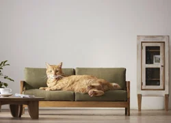 Мебель для кошек