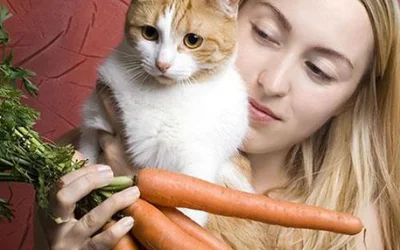 Существует ли вегетарианская диета для кошек