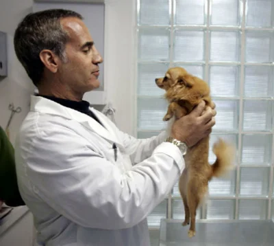 Первая помощь и лечение в ветеринарной клинике