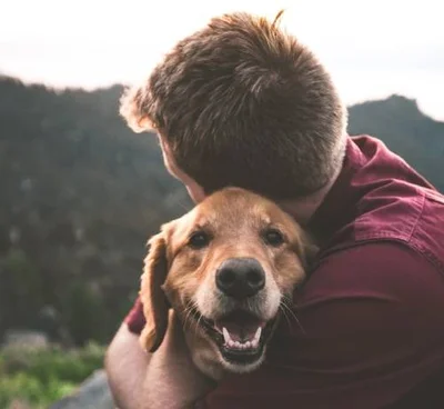 История взаимоотношений собаки и человека