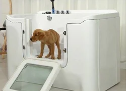 Озоновые ванны для собак
