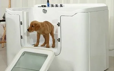 Озоновые ванны для собак