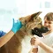Проведение вакцинации собак против чумки