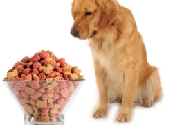 Смешанное питание для собак