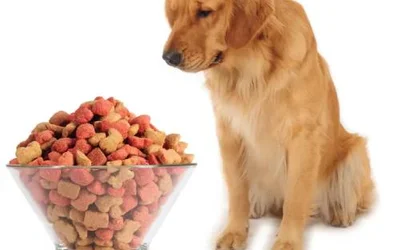Смешанное питание для собак