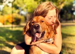 Существует ли эмпатия у собаки и хозяина и в чем она может проявляться