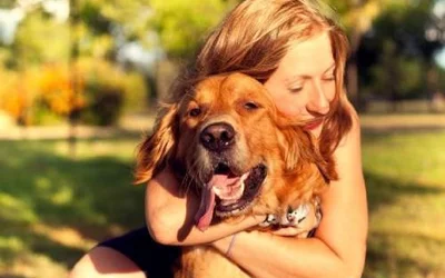 Существует ли эмпатия у собаки и хозяина и в чем она может проявляться