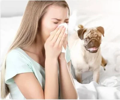 Продукты аллергены у собак